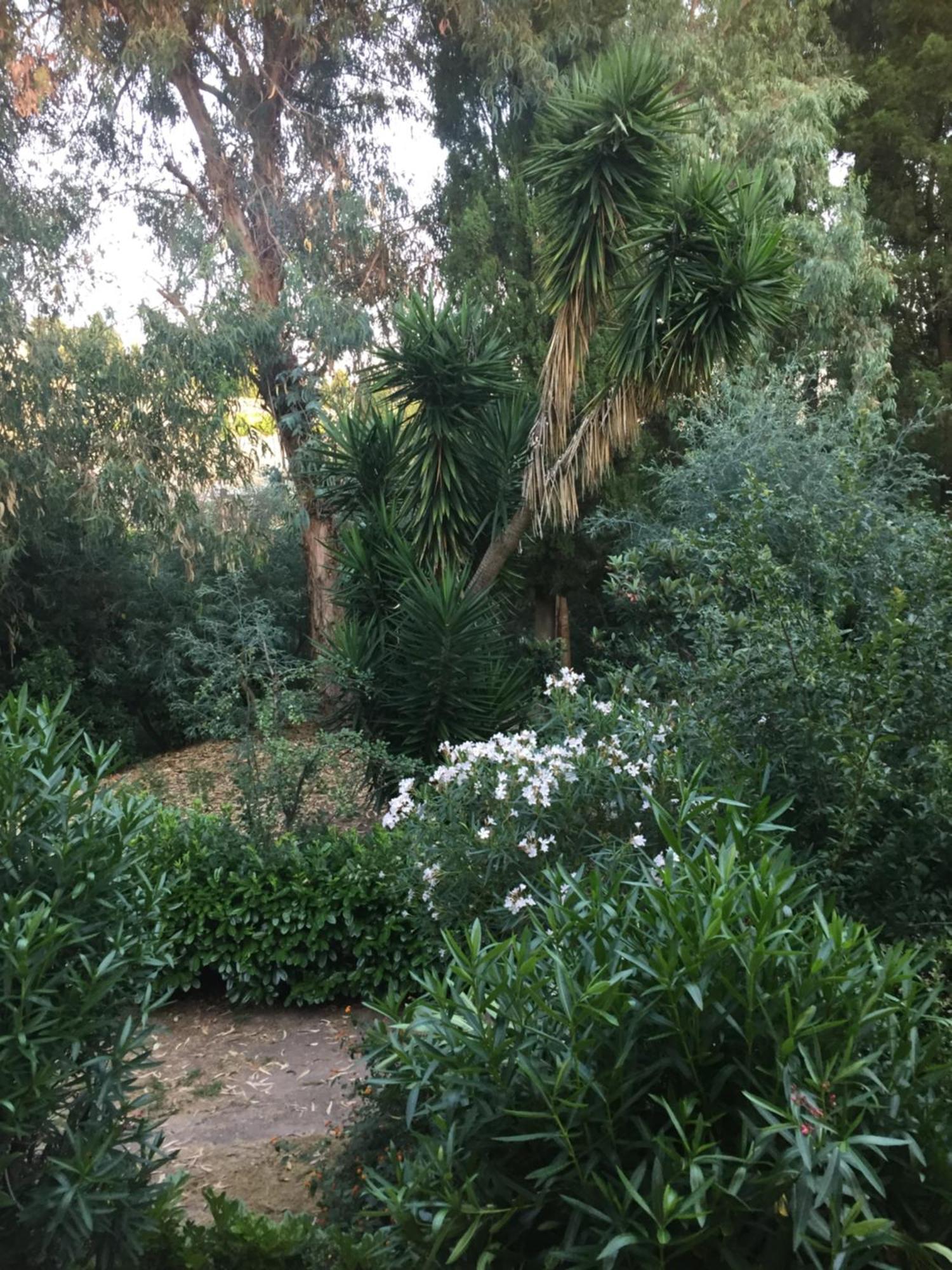 Le Jasmin Du Riou Cannes